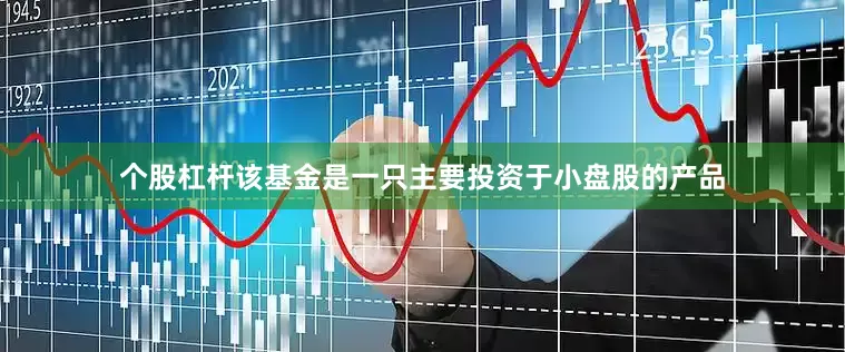 个股杠杆该基金是一只主要投资于小盘股的产品