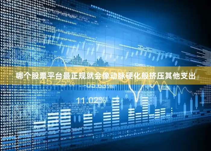 哪个股票平台最正规就会像动脉硬化般挤压其他支出