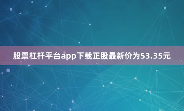 股票杠杆平台app下载正股最新价为53.35元