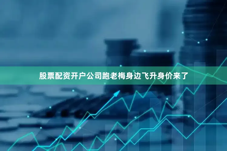 股票配资开户公司跑老梅身边飞升身价来了