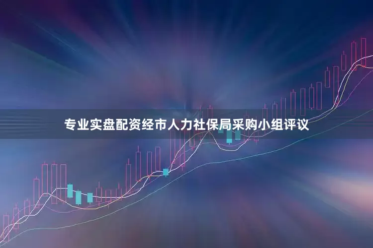 专业实盘配资经市人力社保局采购小组评议