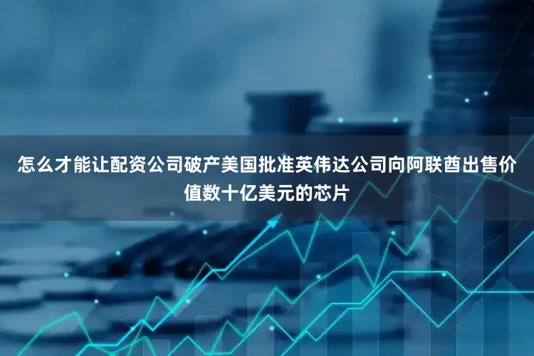 怎么才能让配资公司破产美国批准英伟达公司向阿联酋出售价值数十亿美元的芯片