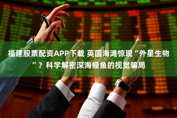 福建股票配资APP下载 英国海滩惊现“外星生物”？科学解密深海鳗鱼的视觉骗局