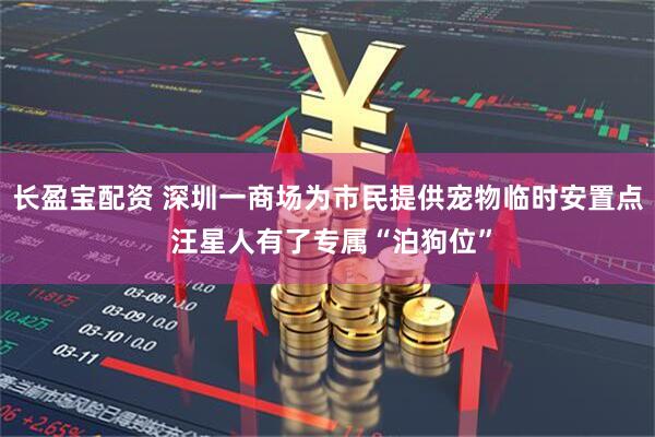 长盈宝配资 深圳一商场为市民提供宠物临时安置点 汪星人有了专属“泊狗位”