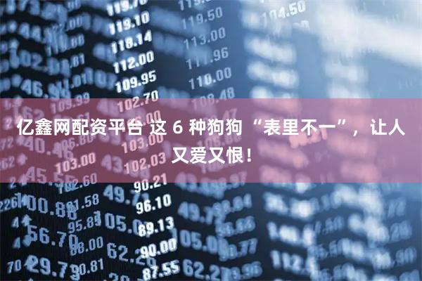 亿鑫网配资平台 这 6 种狗狗 “表里不一”，让人又爱又恨！