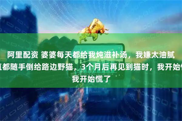 阿里配资 婆婆每天都给我炖滋补汤，我嫌太油腻一直都随手倒给路边野猫，3个月后再见到猫时，我开始慌了