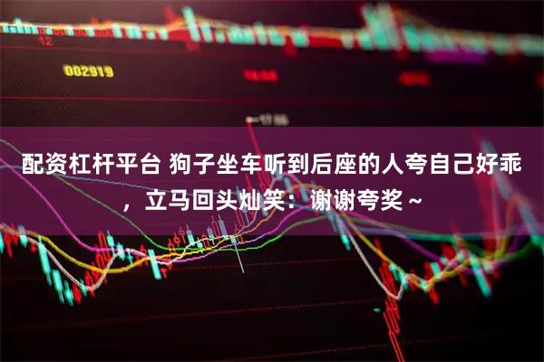 配资杠杆平台 狗子坐车听到后座的人夸自己好乖，立马回头灿笑：谢谢夸奖～
