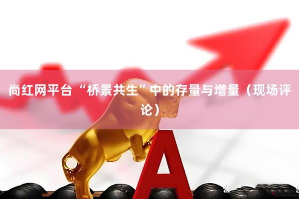 尚红网平台 “桥景共生”中的存量与增量（现场评论）