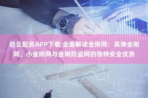 启云配资APP下载 全面解读金刚网：高弹金刚网、小金刚网与金刚防盗网的独特安全优势